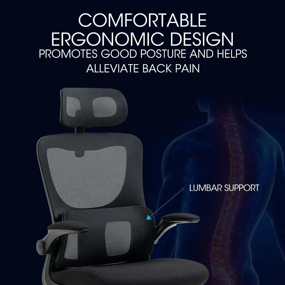 Fortia Ergonomic Office Desk Chair, Lumbar Support, Mesh Fabric, Adjustable Headrest, Retractable Armrests, Black