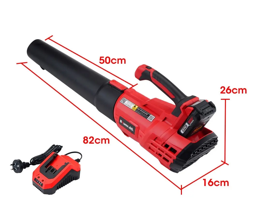 Baumr-AG 20V Cordless Electric Leaf Blower Hand-held Garden Tool, 2.0Ah Lithium Battery with Charger