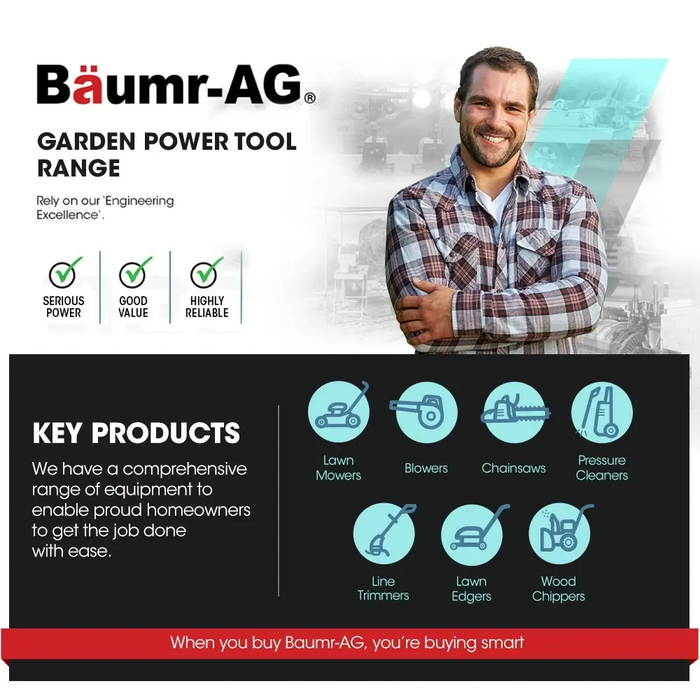 Baumr-AG 20V 12 Inch Electric Cordless Chainsaw 4Ah Lithium Battery Pruner Cutter 12 Inch Oregon Bar Saw