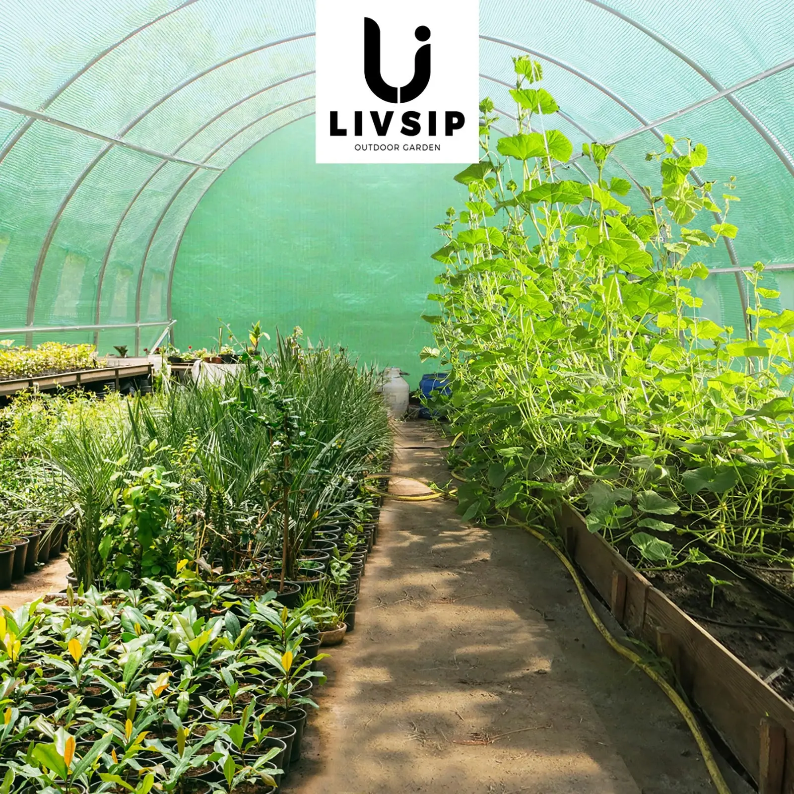 Livsip Greenhouse 4X3X2M Garden Shed Tunnel Green House Walk in Storage Plant