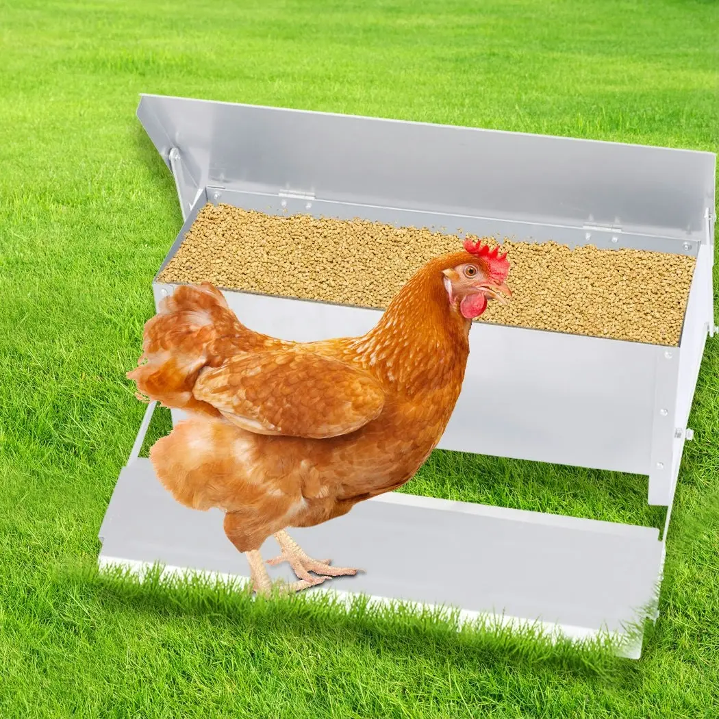 Pawz 10KG Auto Automatic Chicken Feeder Galvanized Poultry Chook Treadle