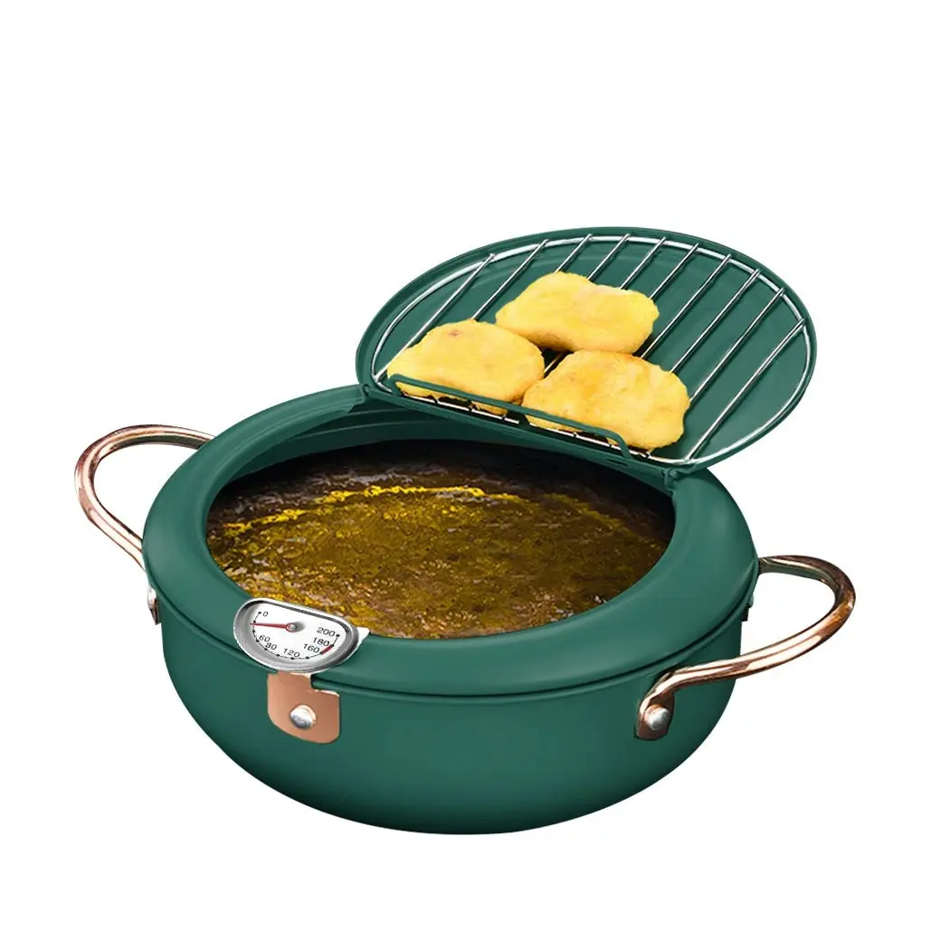 Toque Japanese Deep Frying Pot 24cm Tempura Fryer Pan Stainless Steel Green