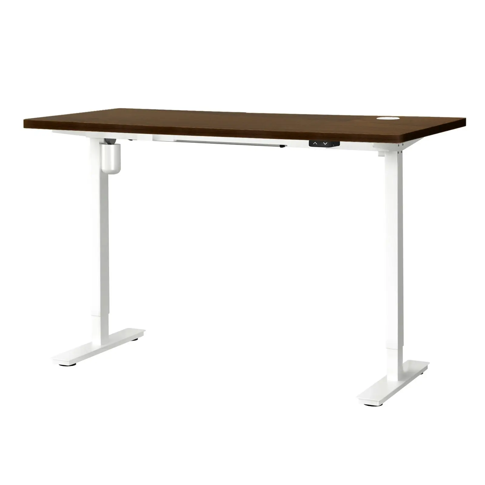 Oikiture 140CM Electric Standing Desk Single Motor Table Top Walnut