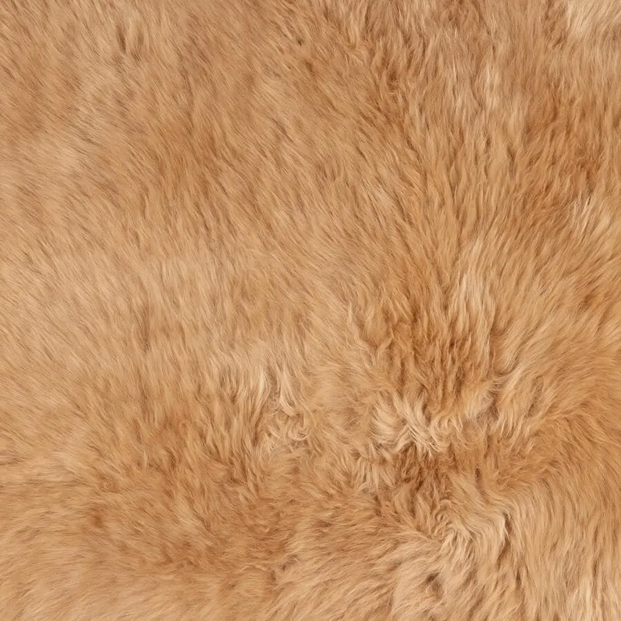 Merino Sheepskin Rug - Champagne