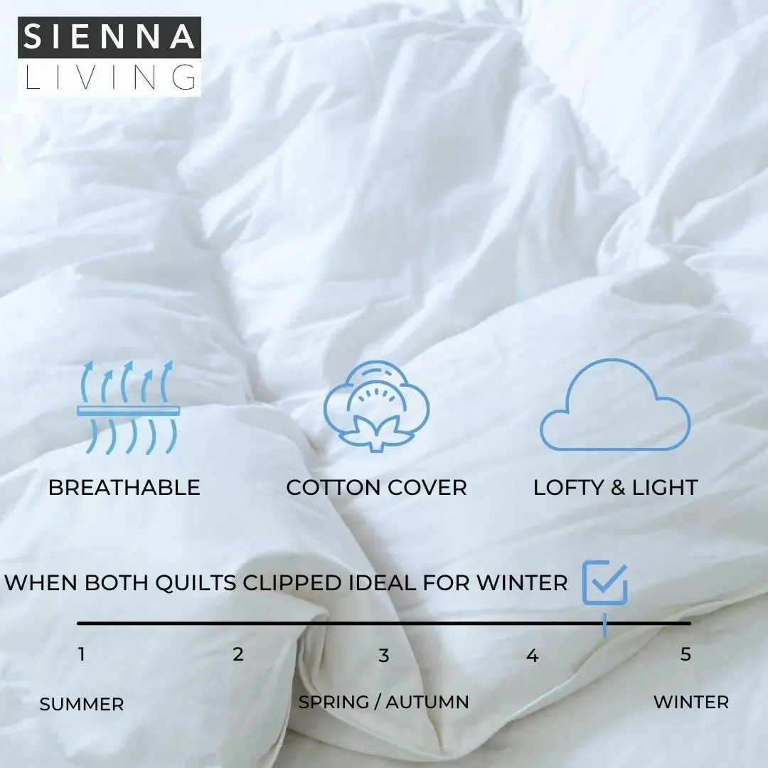 Sienna Living 4 Seasons 80% Goose Down 20% Goose Feather Quilt