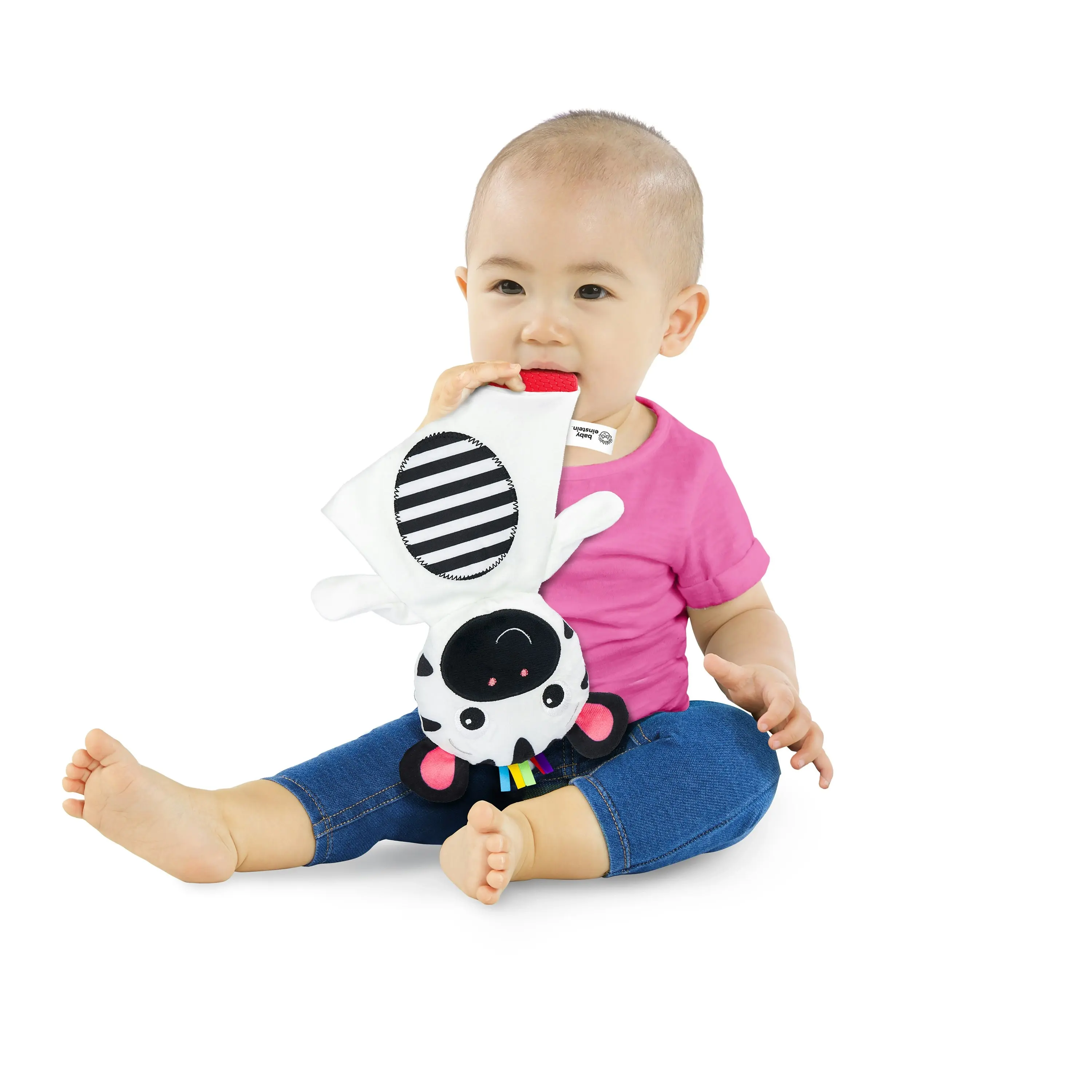 Zen the Zebra Sensory Plush Teether