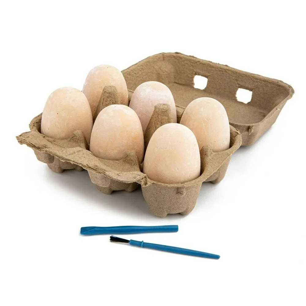 Discovery Kids Dinosaur Egg Crate - 6 Pack