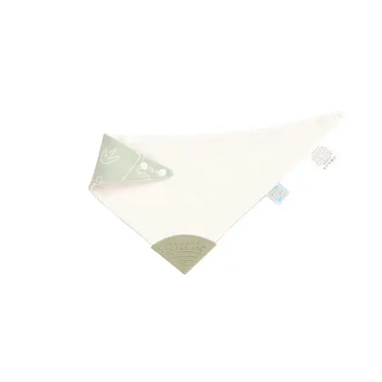 Bandana Bibs 2pk - Sage Dino