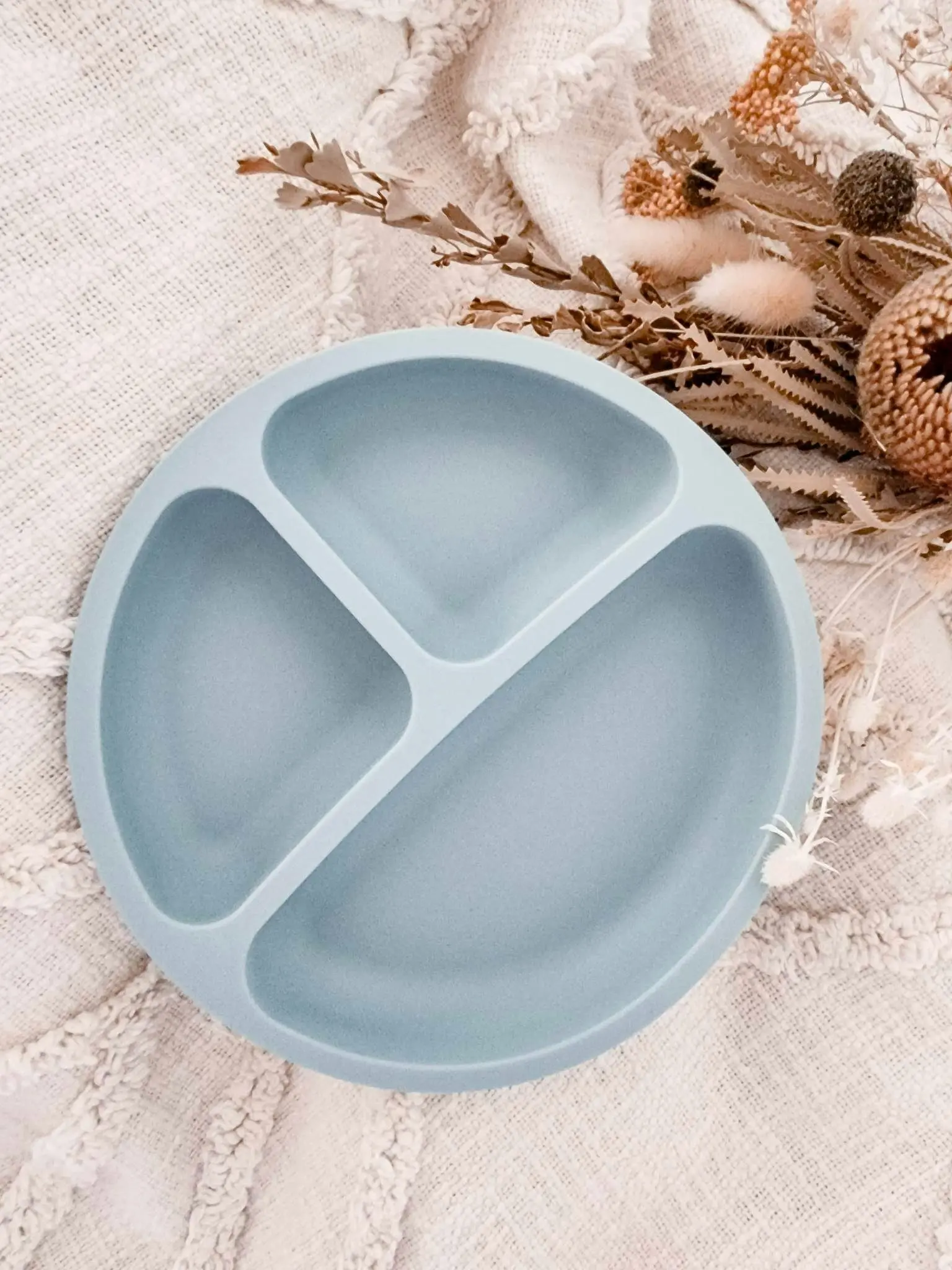 Toddler Plates - Silicone Suction Plate