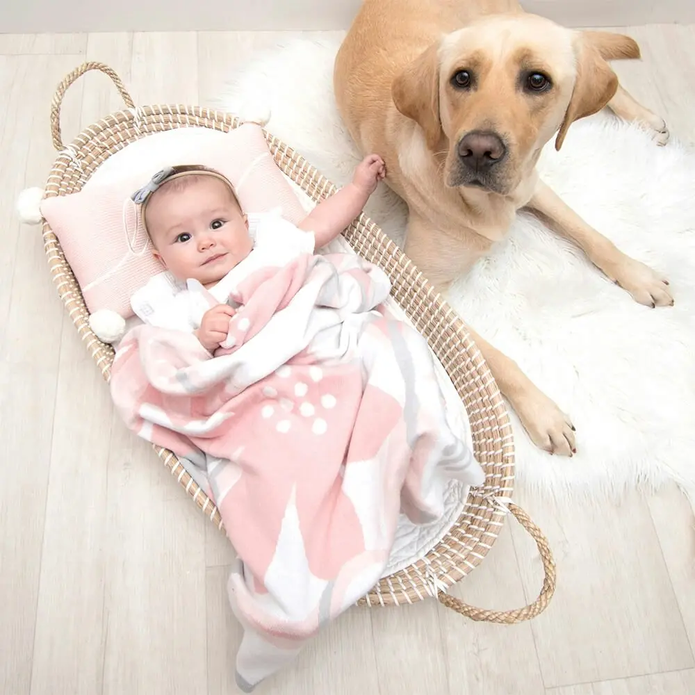 Lolli Living | 100% Cotton Knit Pram Blanket - Meadow