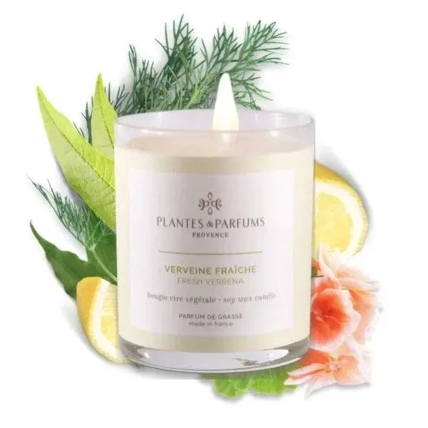 Plantes & Parfums | 180g Handcrafted Perfumed Candle - Fresh Verbena