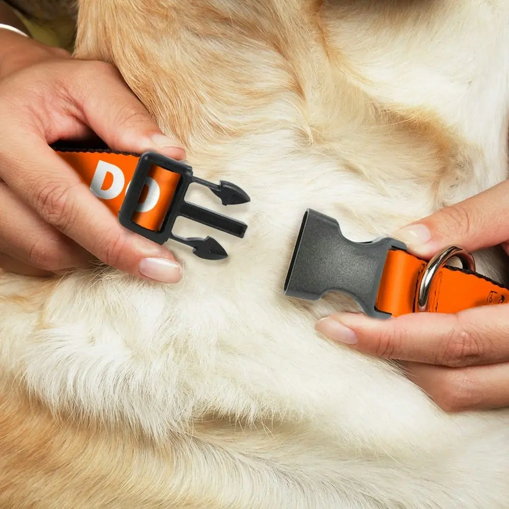 Buckle Down USA Dog Collar - 'Do Not Pet'