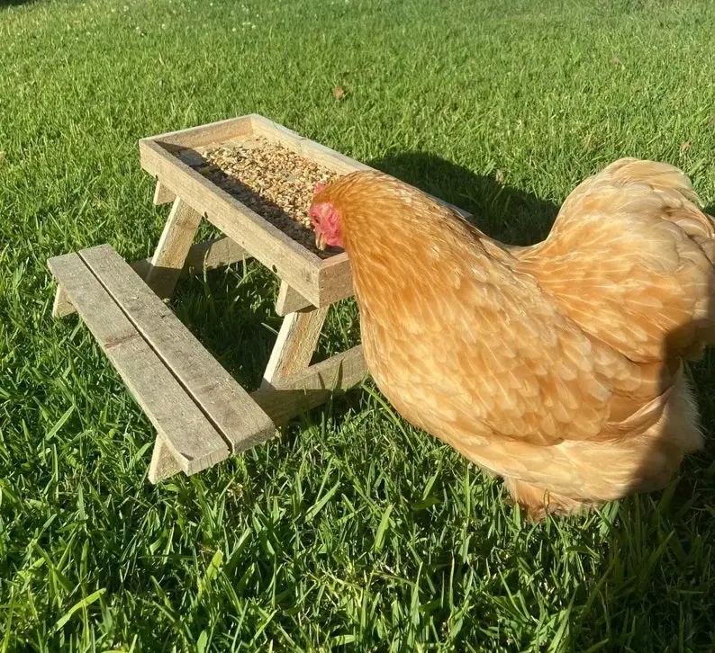 Chick-Nic Table Chook Feeder