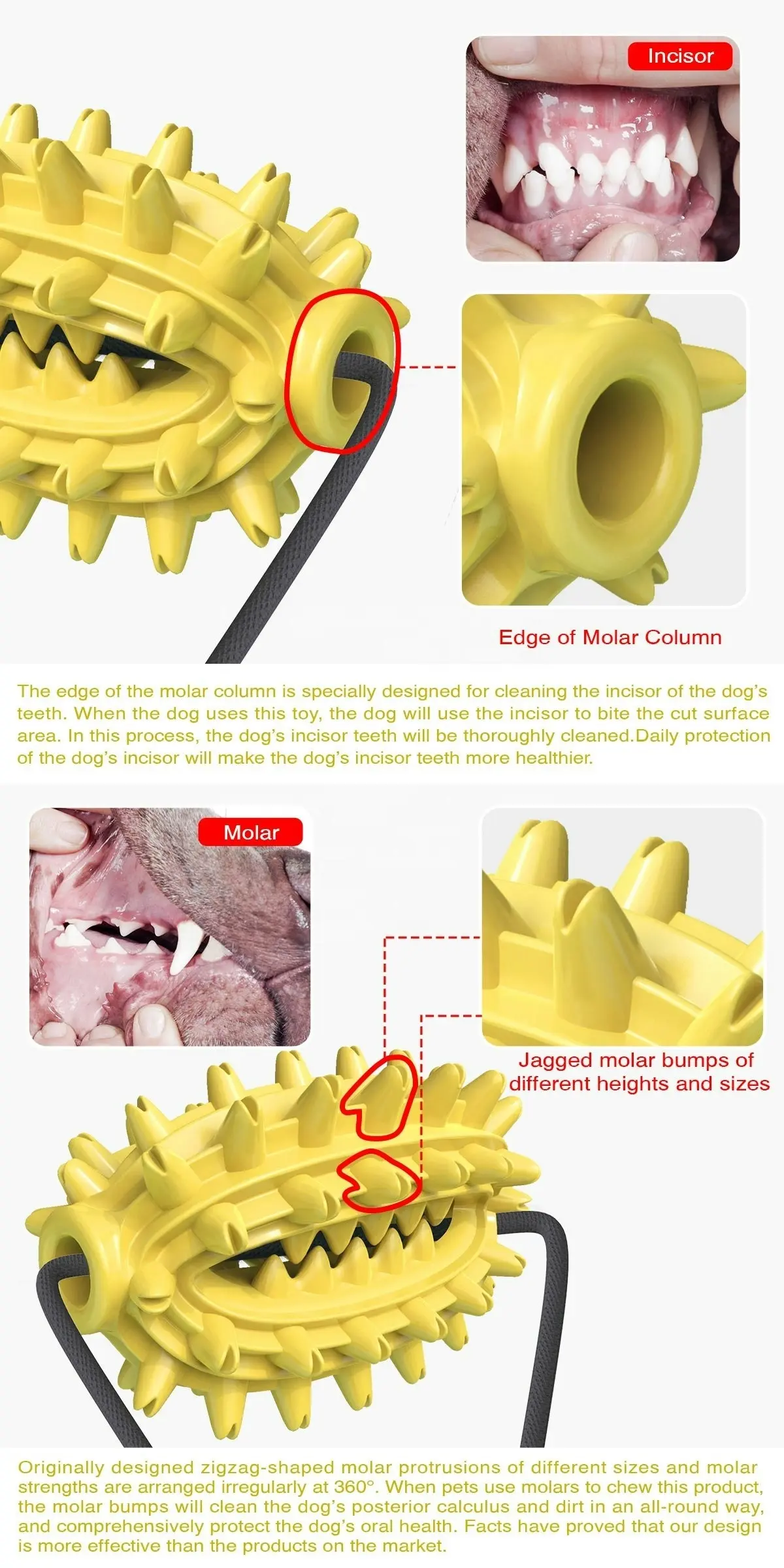 Suction Toy