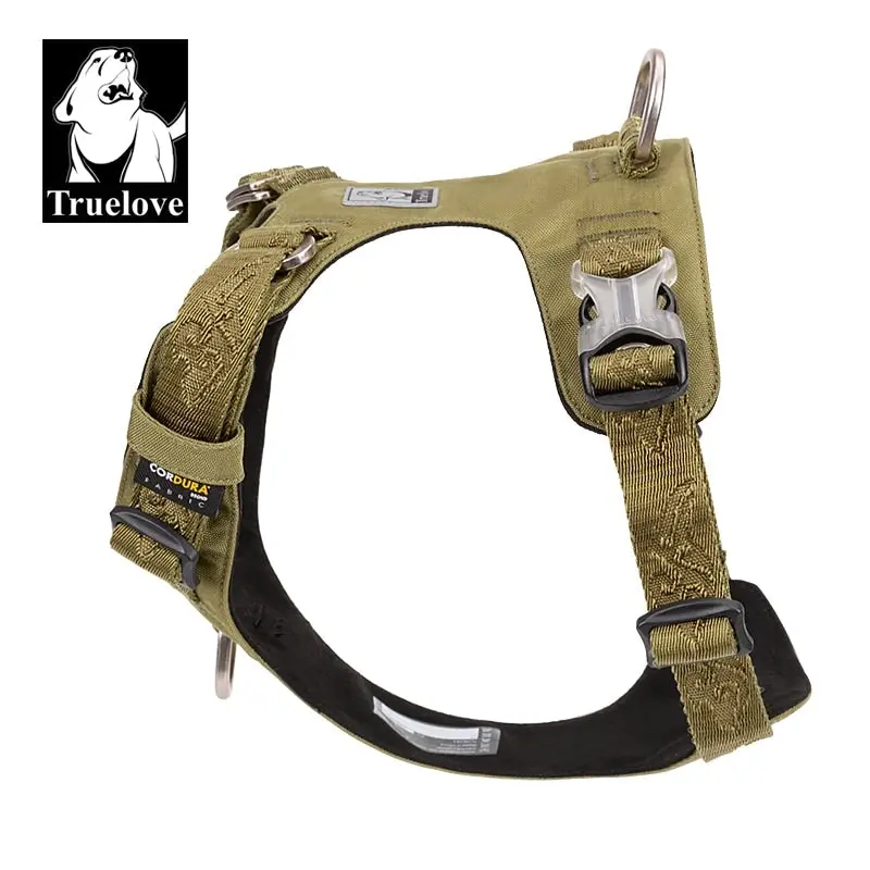 Envy Harness