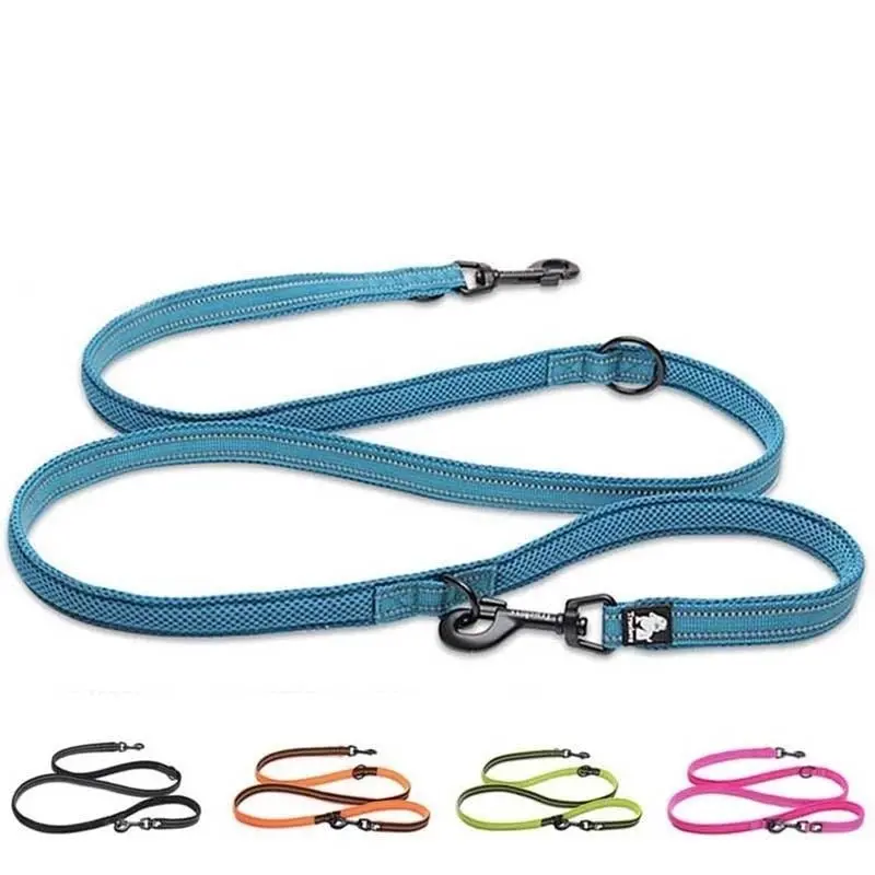 Mult-function leash