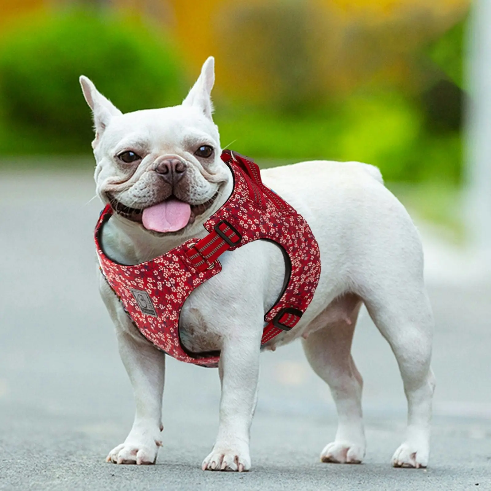 Floral Doggy Harness