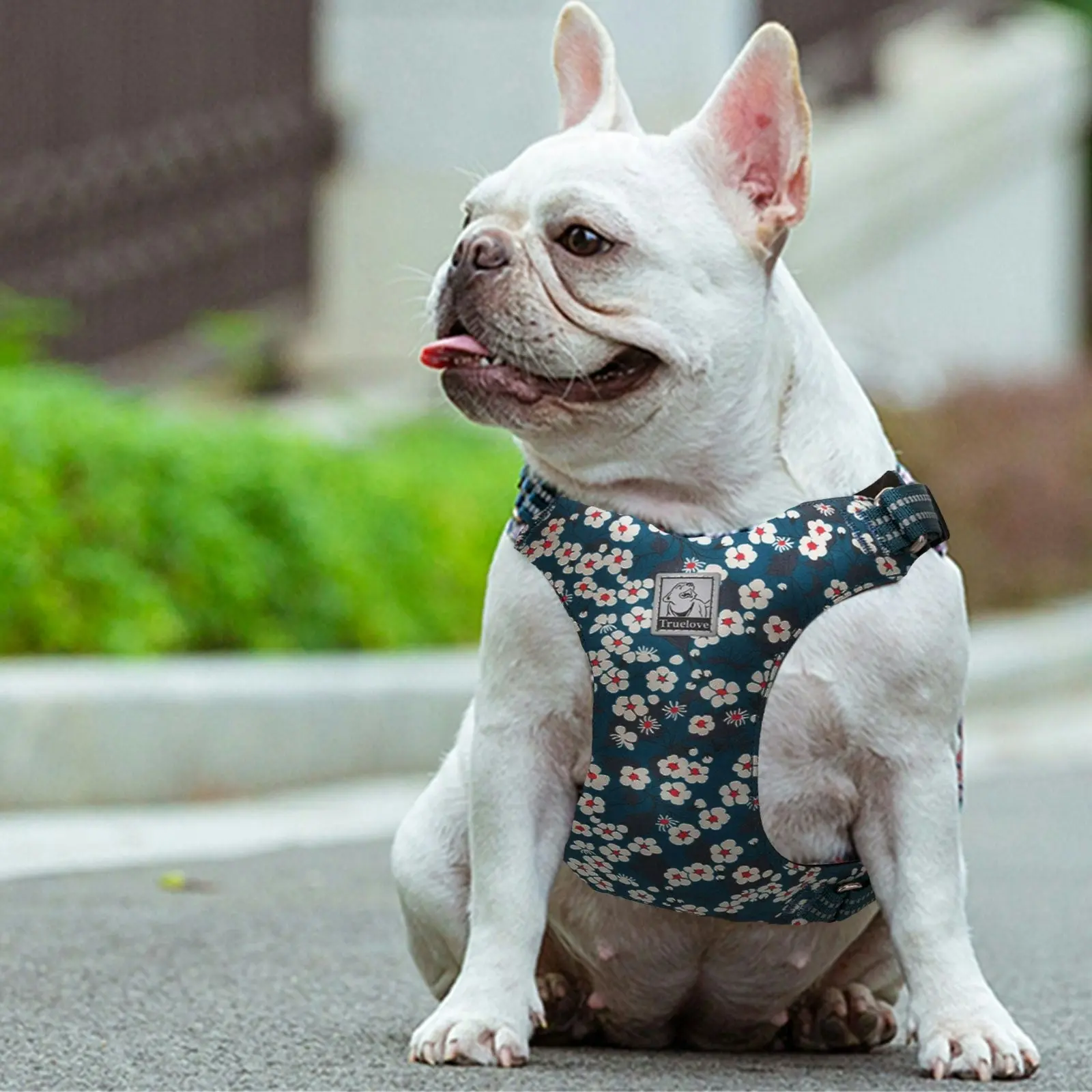 Floral Doggy Harness