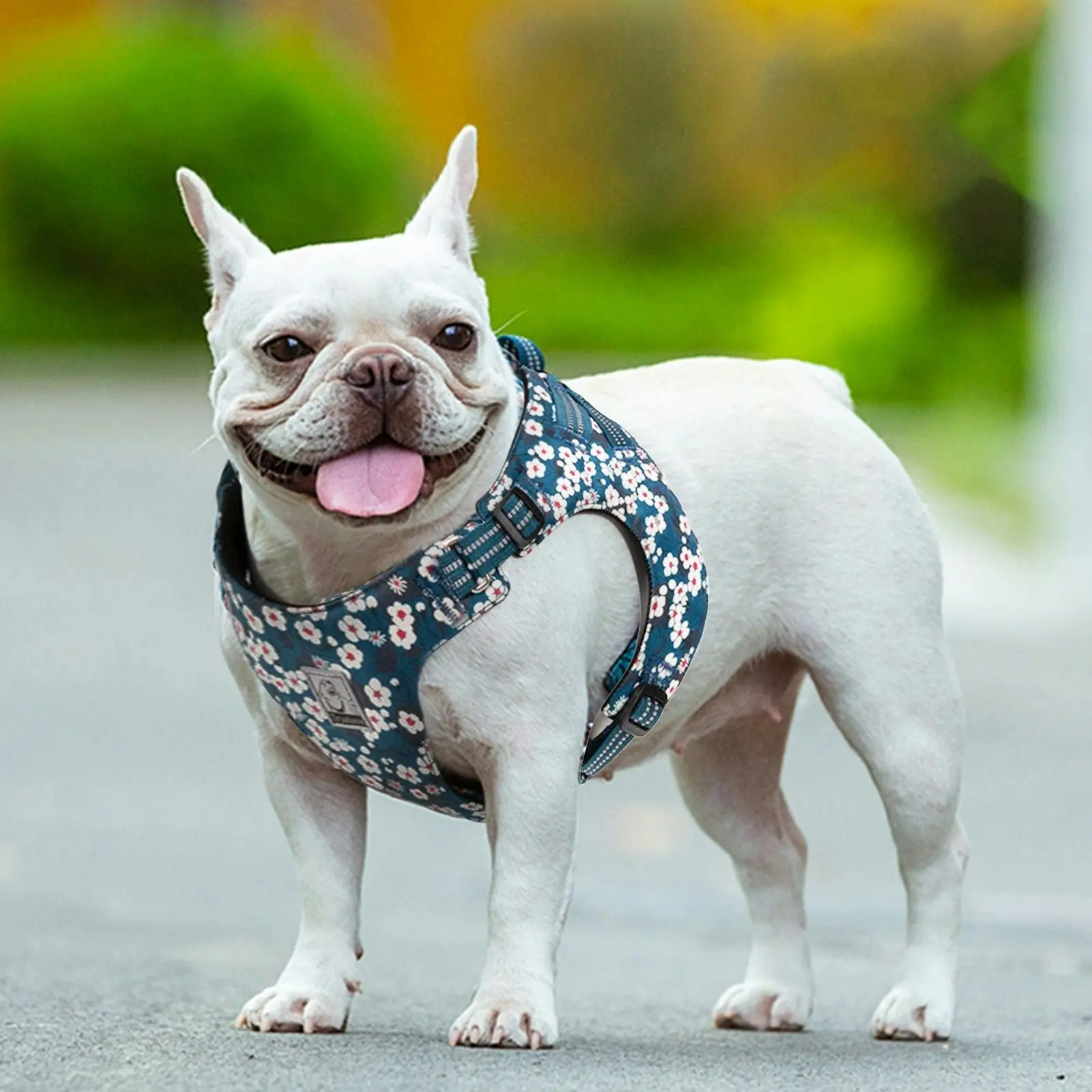 Floral Doggy Harness