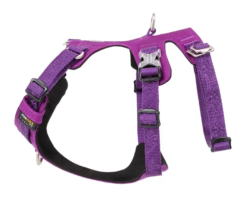 Whinhyepet Tag Harness