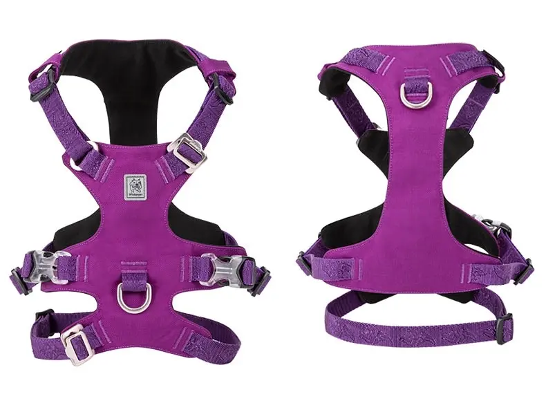 Whinhyepet Tag Harness