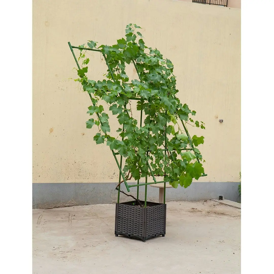 Soga 160cm Rectangular Inclined Plant Frame Tube Pergola Trellis Vegetable Flower Herbs Outdoor Vine Support Garden Rack