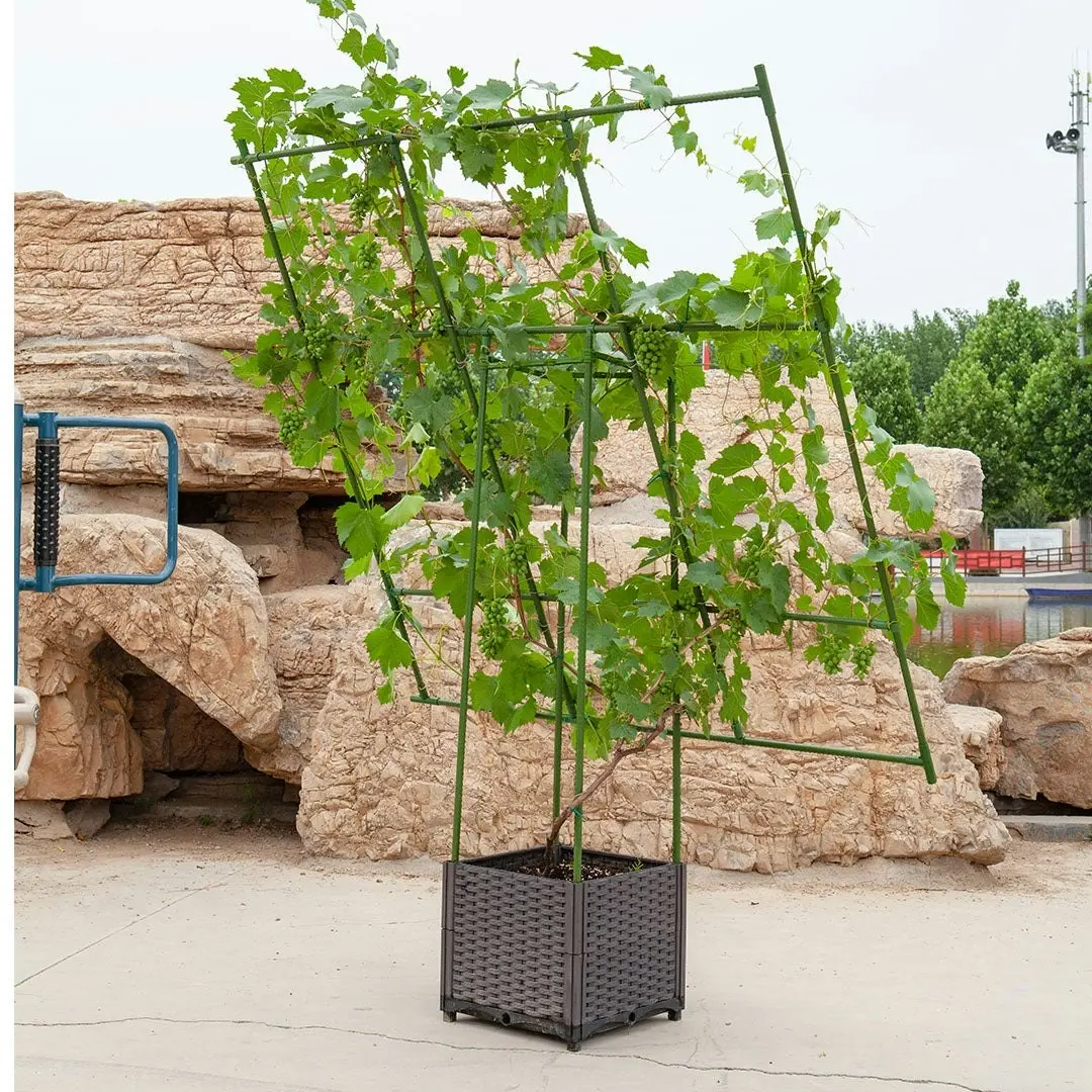 Soga 160cm Rectangular Inclined Plant Frame Tube Pergola Trellis Vegetable Flower Herbs Outdoor Vine Support Garden Rack