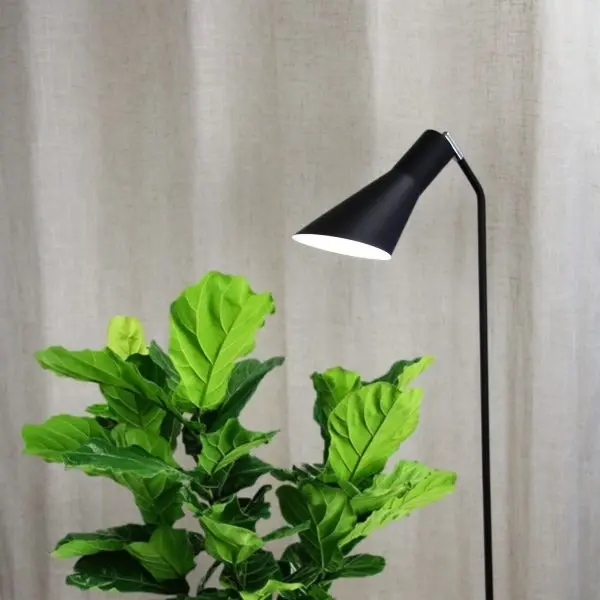 THOR FLOOR LAMP Black Floor Lamp