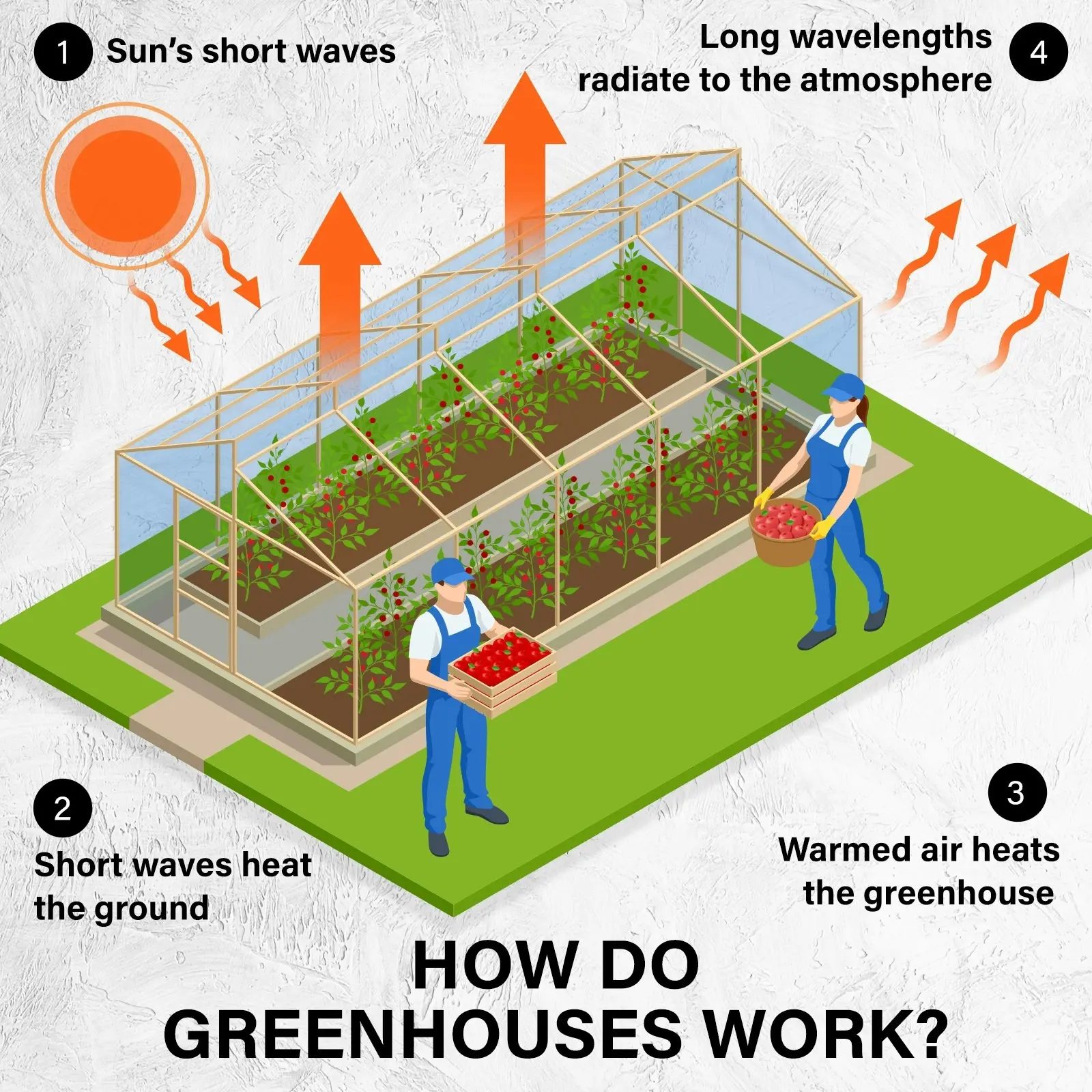 4x3x2M Greenhouse PE Dome Tunnel - GREEN