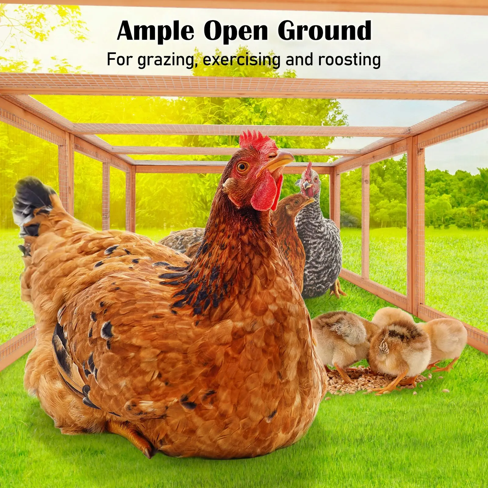 Chicken Coop Rabbit Hutch RUNEY