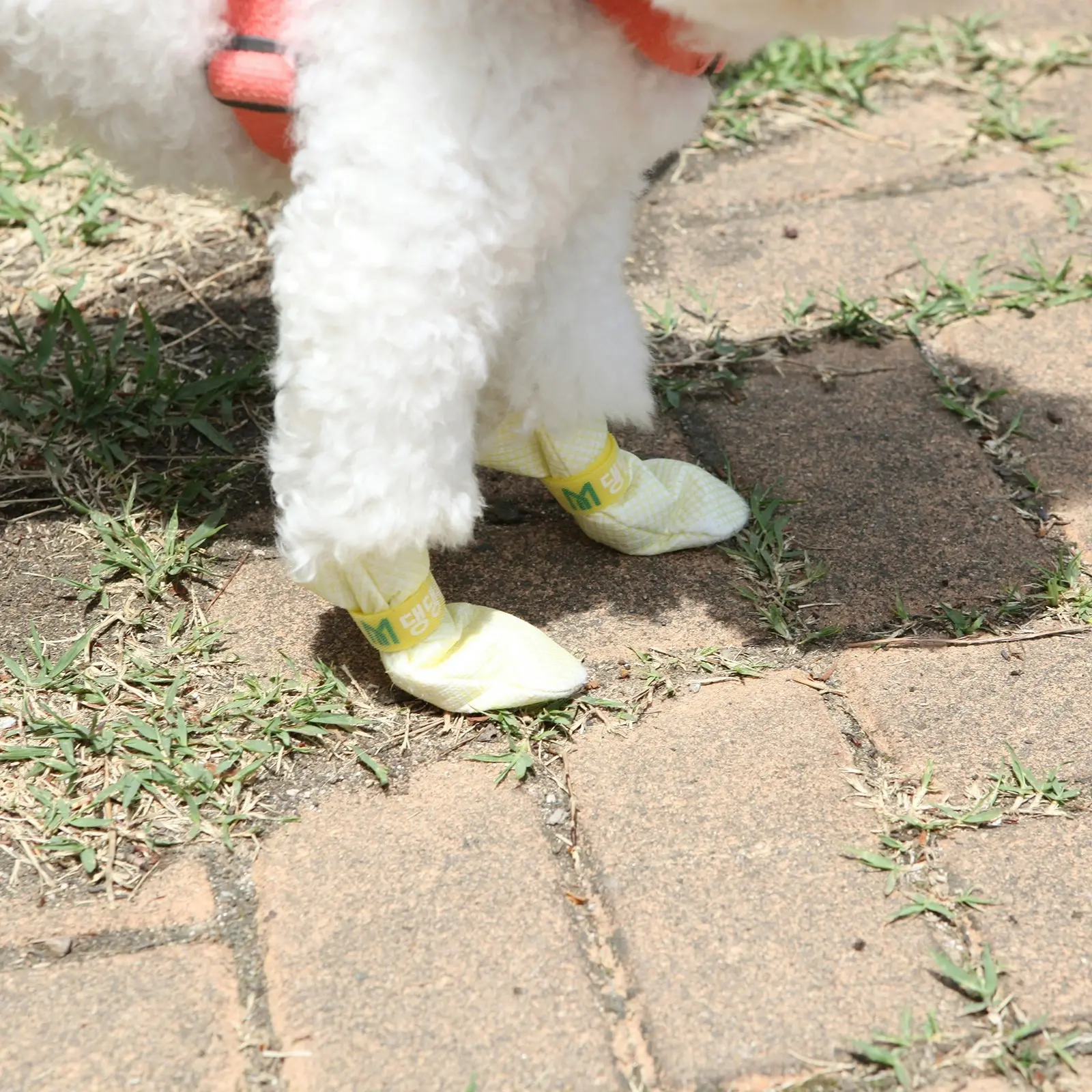 28pc X-Small Disposable Dog Puppy Socks Shoes - YELLOW