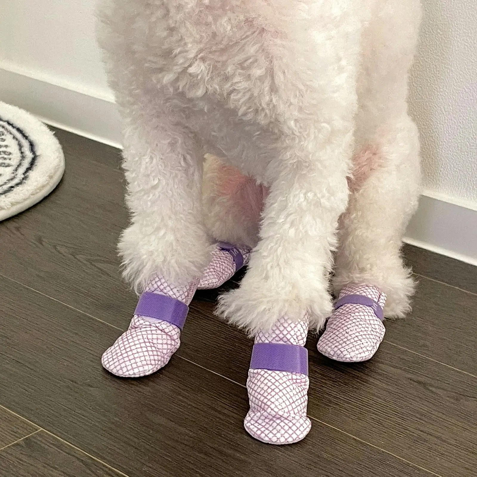 28pc Large Disposable Dog Puppy Socks Shoes - VIOLET