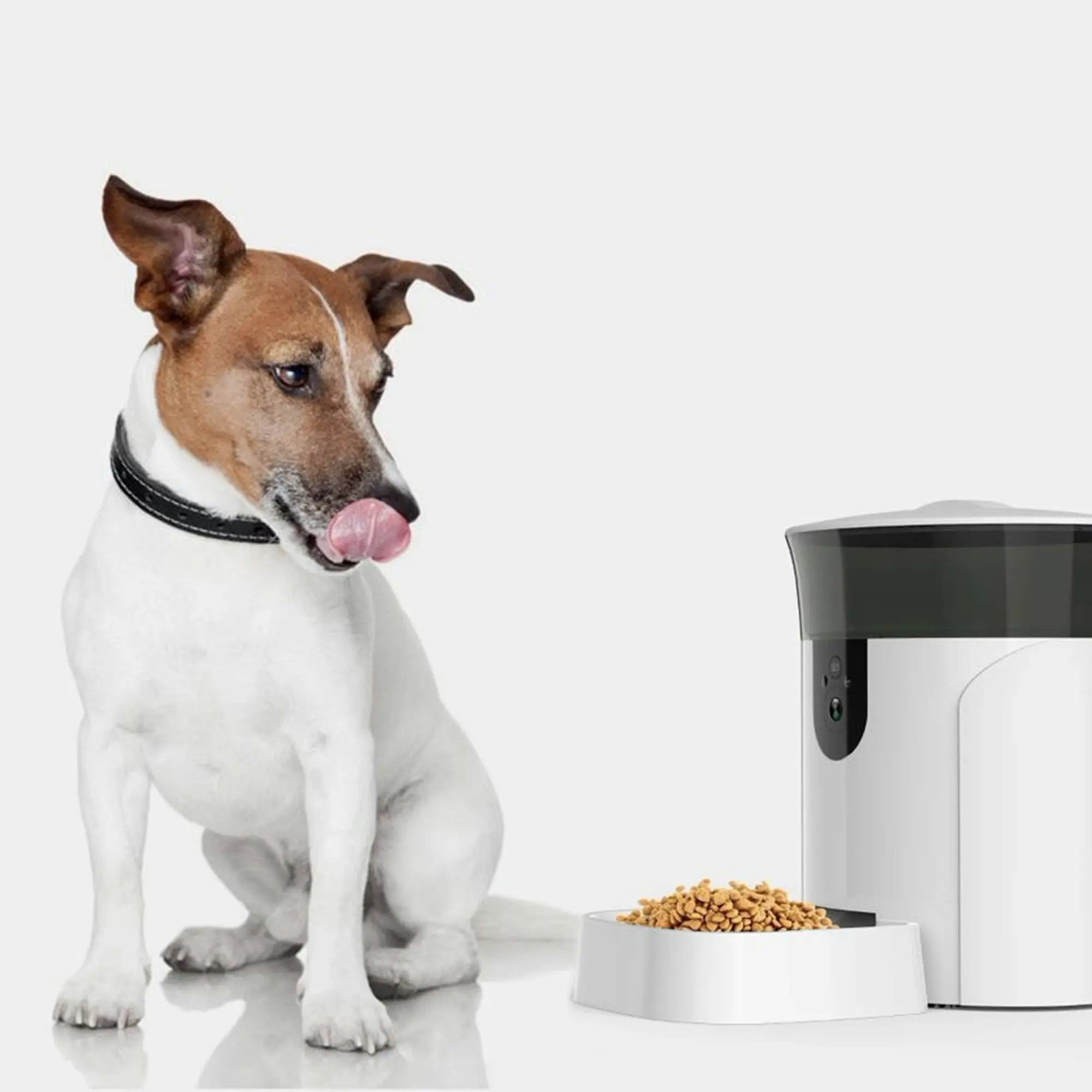 Tech 4 Pets 7L Smart Pet Feeder with Camera - Automatic or Schedule, Wifi, App