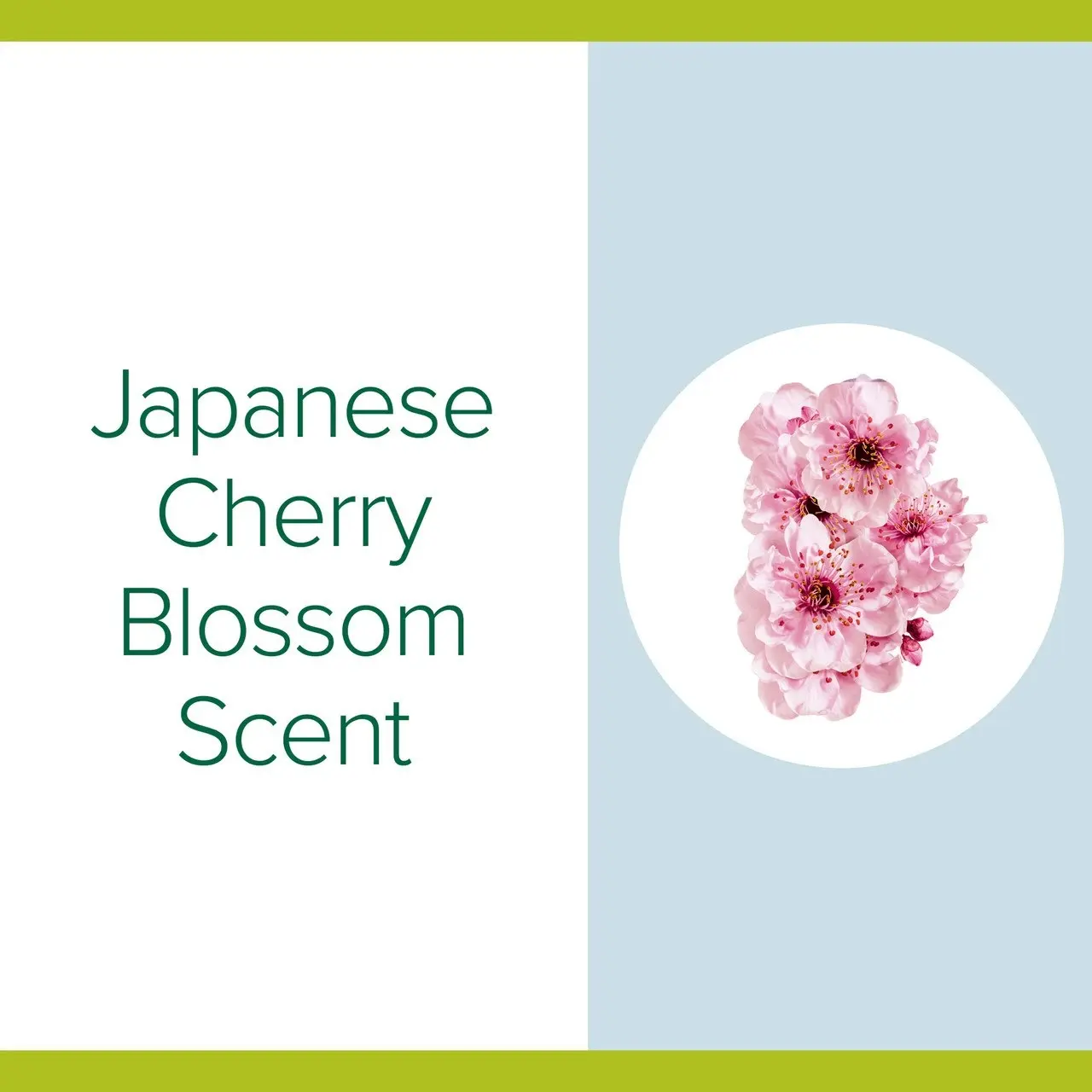 Palmolive Instant Antibacterial Hand Sanitiser Japanese Cherry Blossom Pump 200mL, Non-Sticky, Rinse Free, Kills Germs