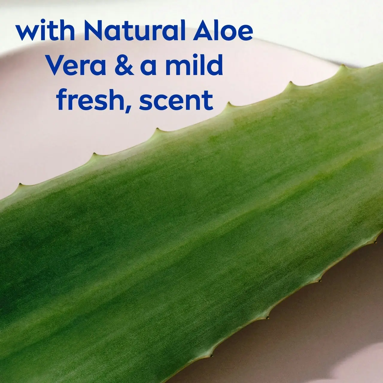 Nivea Rich Moisture Creme with Natural Aloe Body Wash 1L