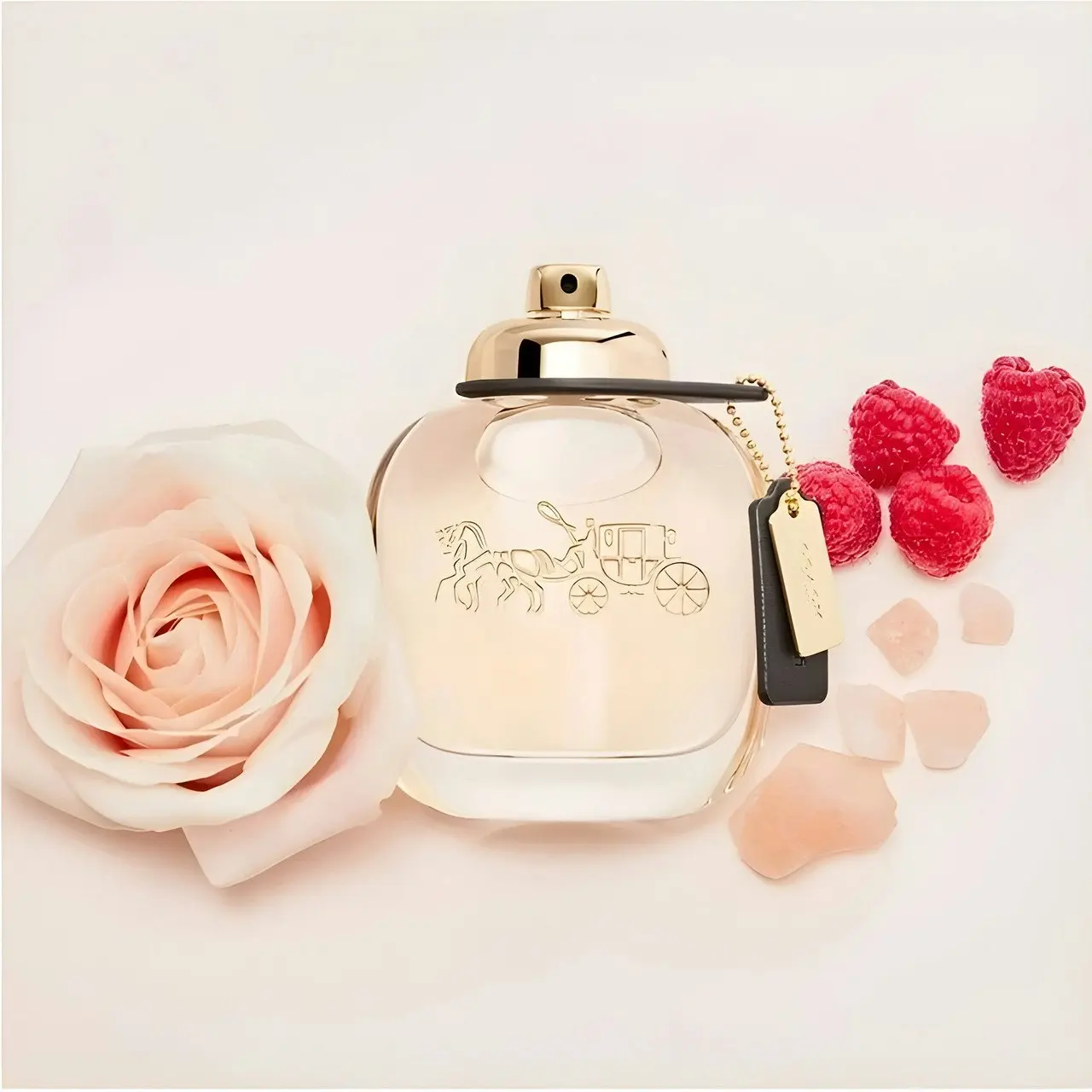 Coach 50ml EDP By Coach (Womens)