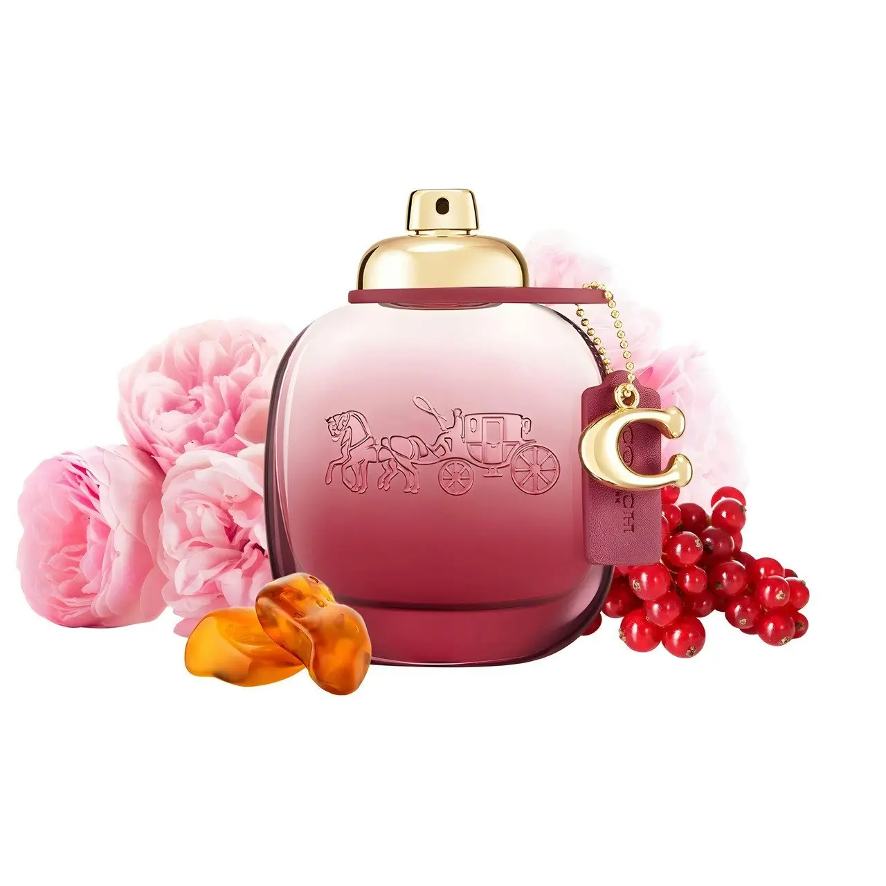 Coach Wild Rose 90ml EDP By Coach (Womens)