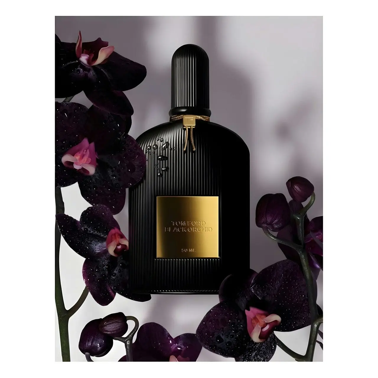 Black Orchid 100ml EDP By Tom Ford (Womens)