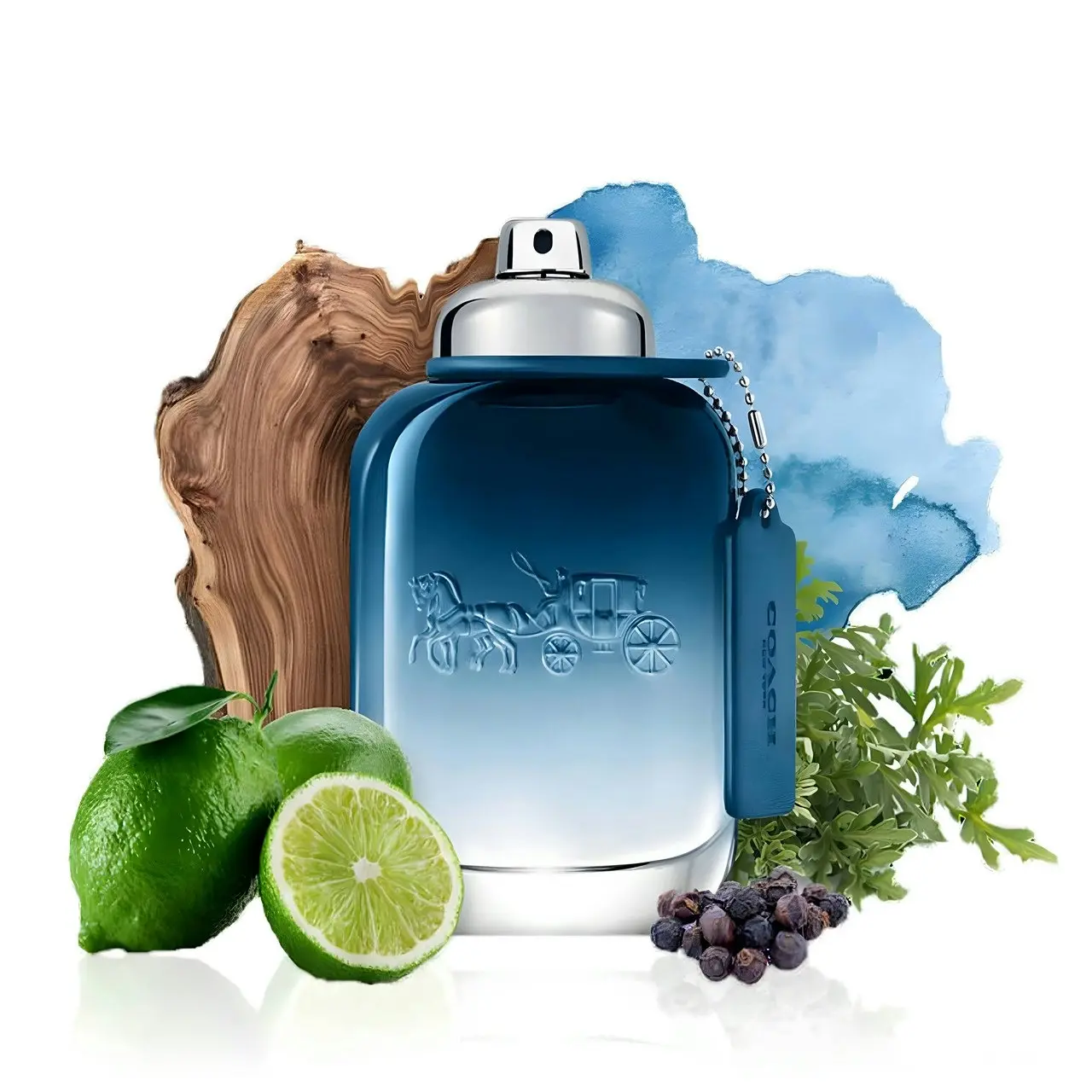 Coach Blue 100ml EDT By Coach (Mens)