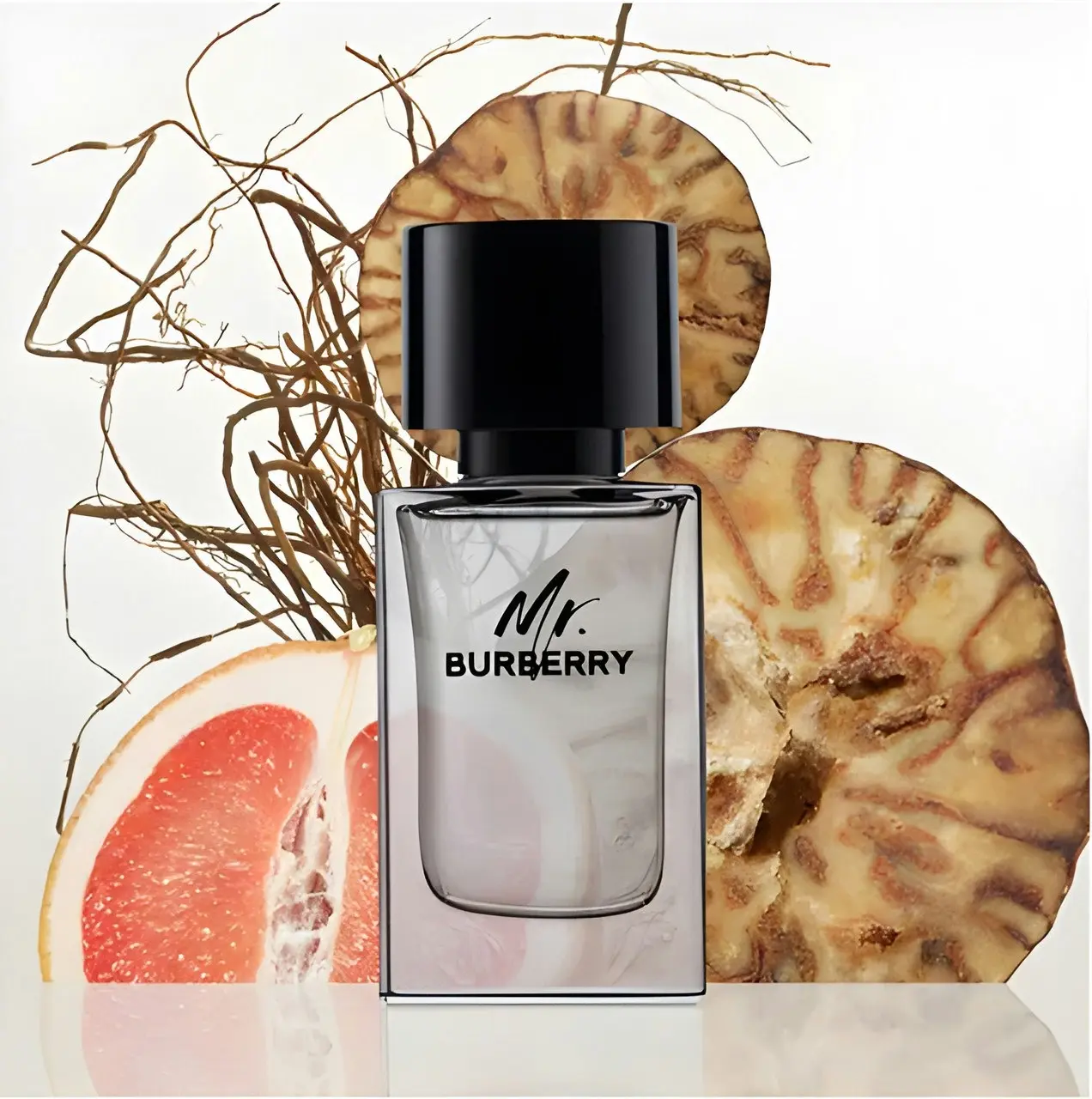 Mr Burberry 50ml EDT By Burberry (Mens)