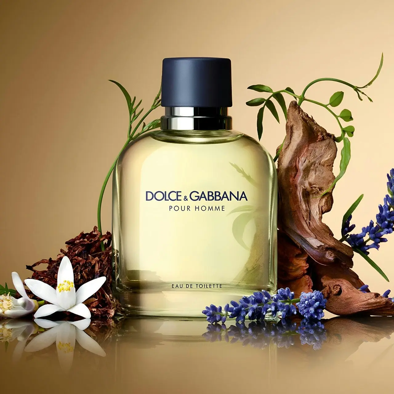 Dolce & Gabbana 125ml EDT By Dolce & Gabbana (Mens)