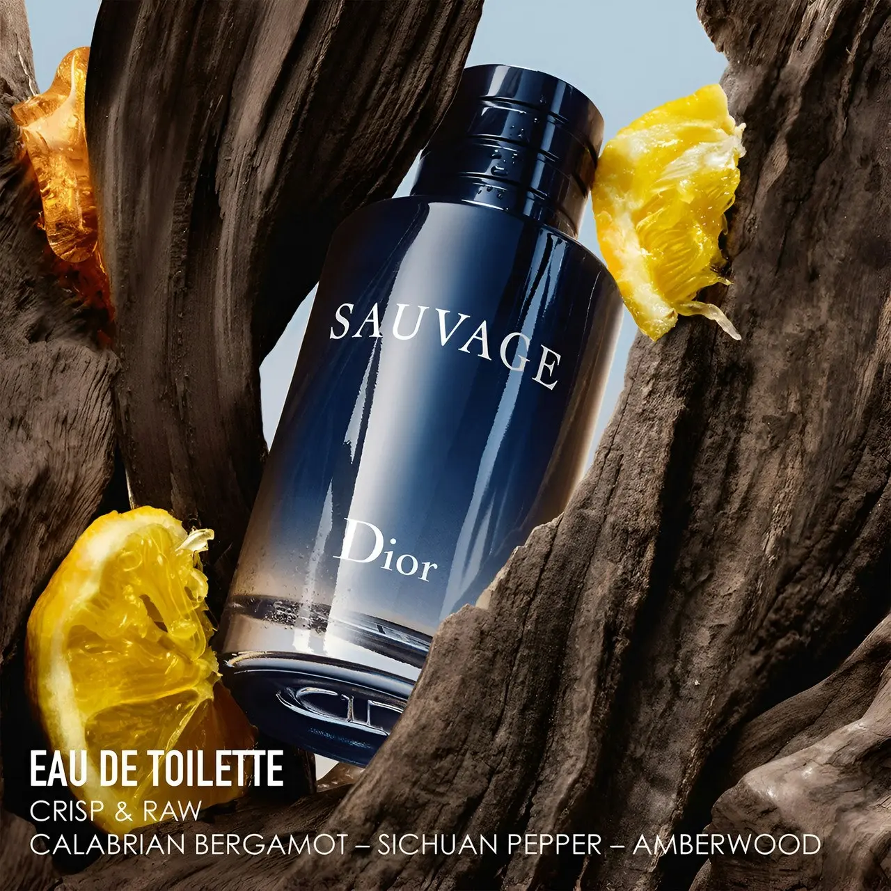 Sauvage 200ml EDT By Christian Dior (Mens)