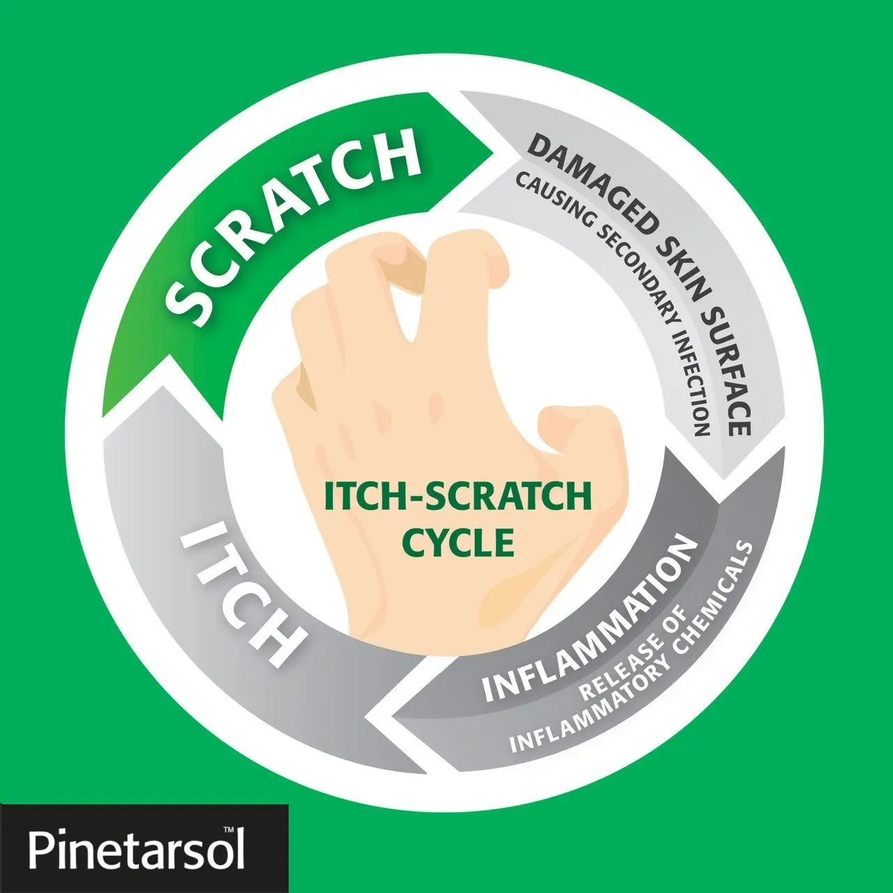 Pinetarsol Solution 200ml