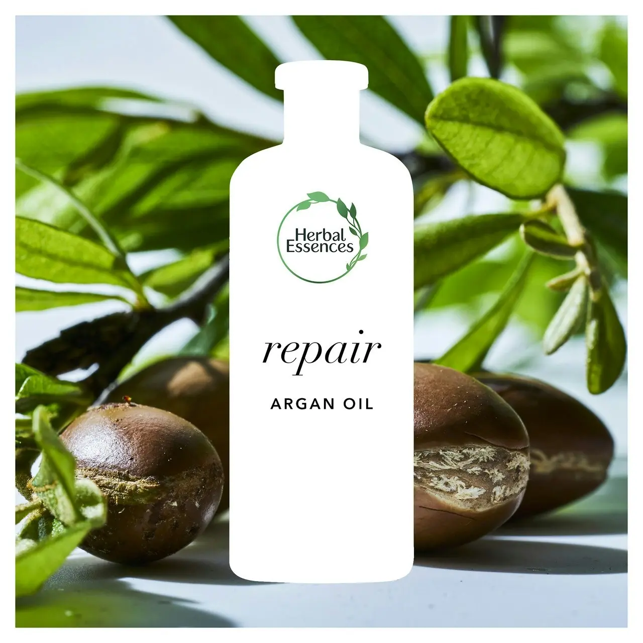 Herbal Essences Bio: Renew Argan Oil of Morocco Repair 90% Natural Origin Shampoo 400 ml