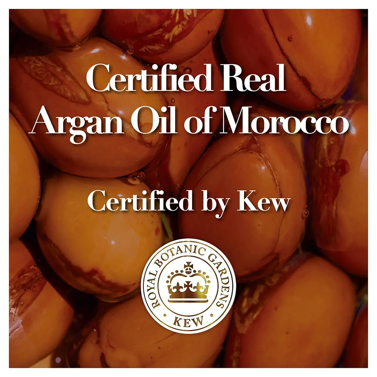 Herbal Essences Bio: Renew Argan Oil of Morocco Repair 90% Natural Origin Shampoo 400 ml