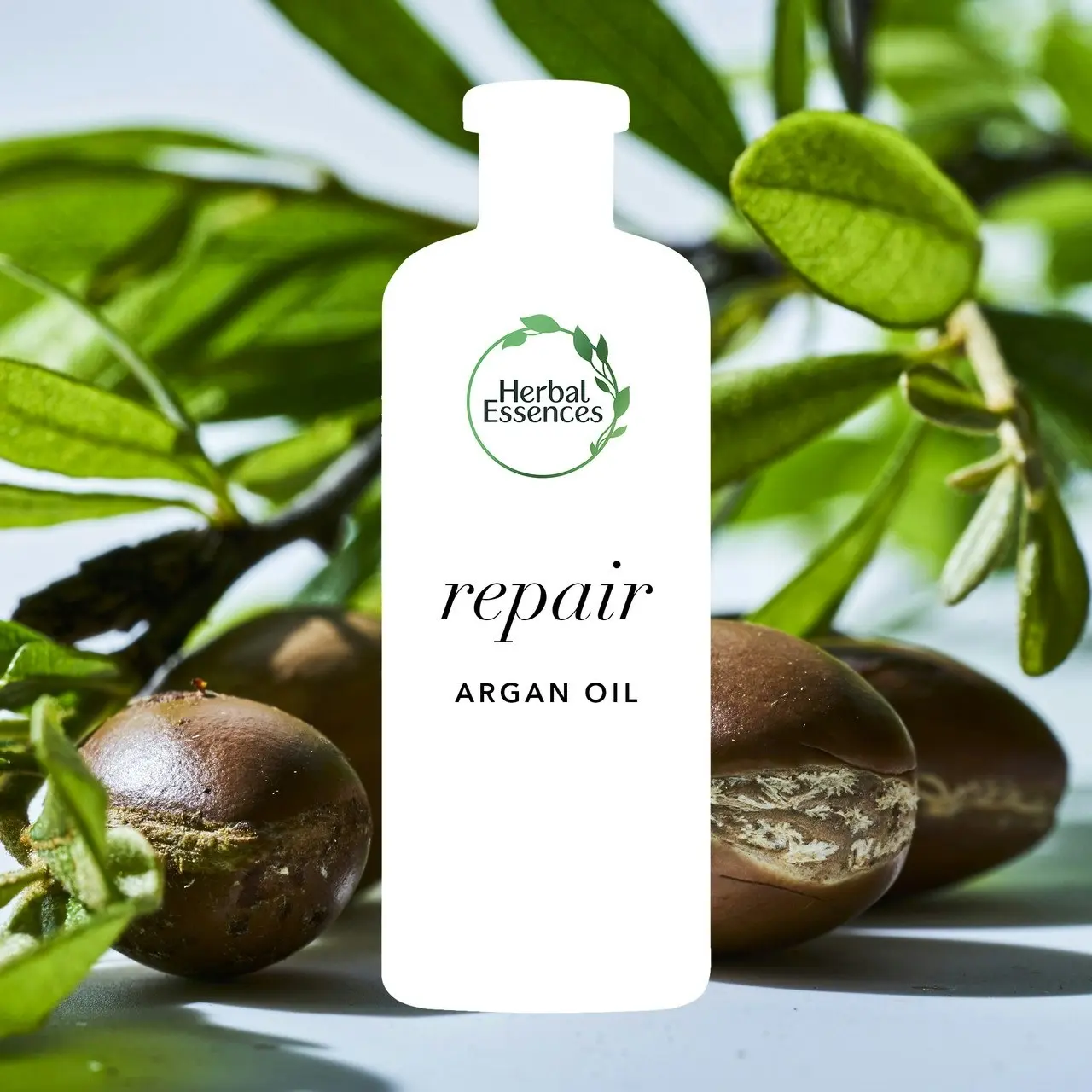 Herbal Essences Bio: Renew Argan Oil of Morocco Repair 90% Natural Origin Conditioner 400 ml