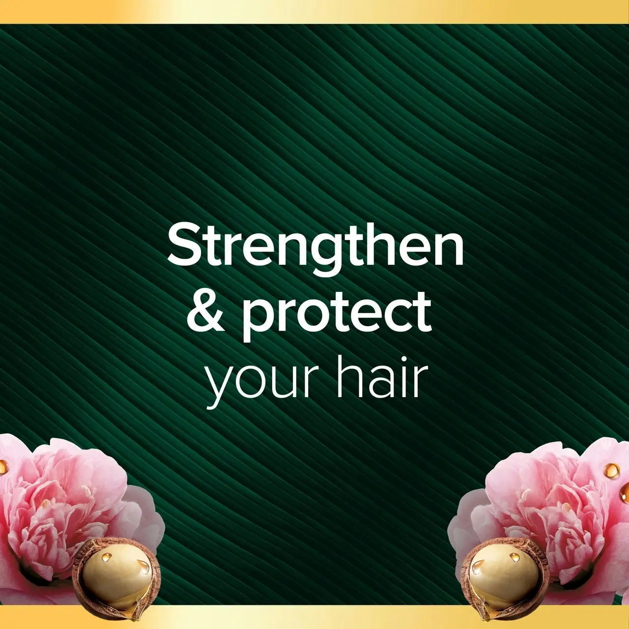 Palmolive Luminous Oils Hair Conditioner, Northern Rivers Macadamia, Argan & Camellia, 350mL, Strengthen and Protect