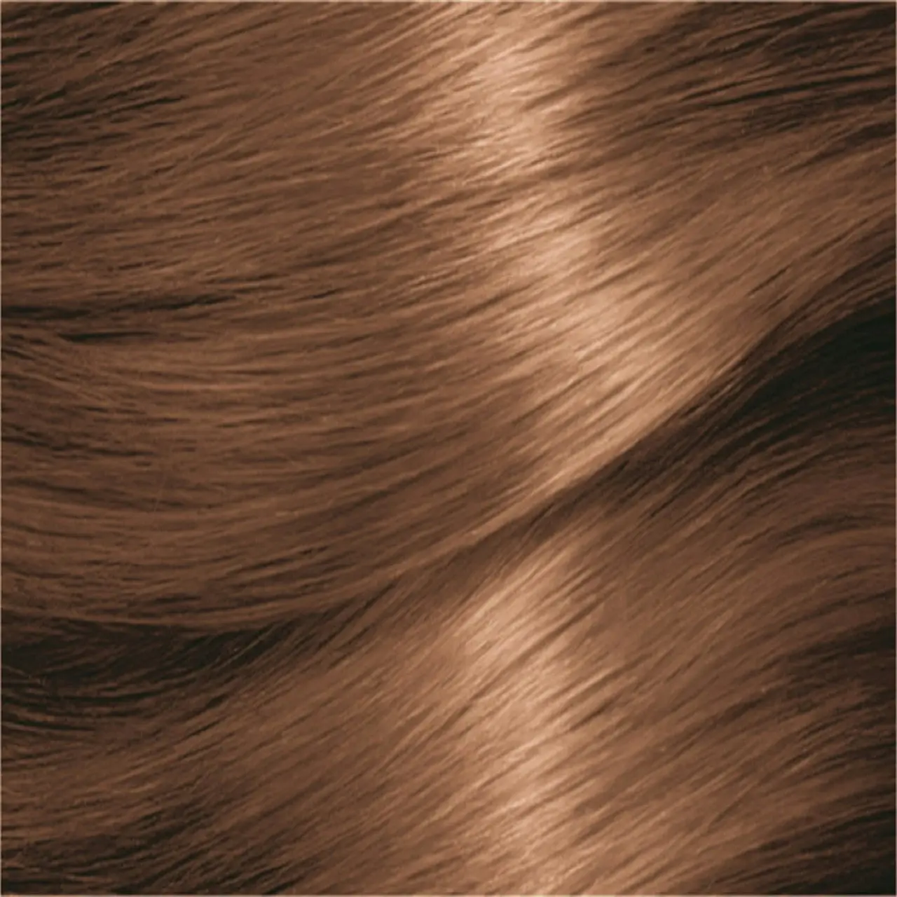 Garnier Nutrisse Permanent Hair Colour - 6.3 Praline Dark Golden Blonde