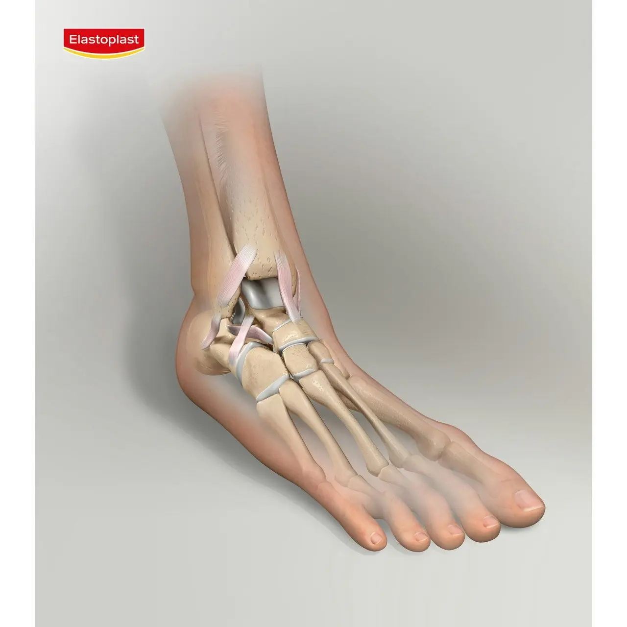 Elastoplast Sport Ankle Support Medium 1 Ea