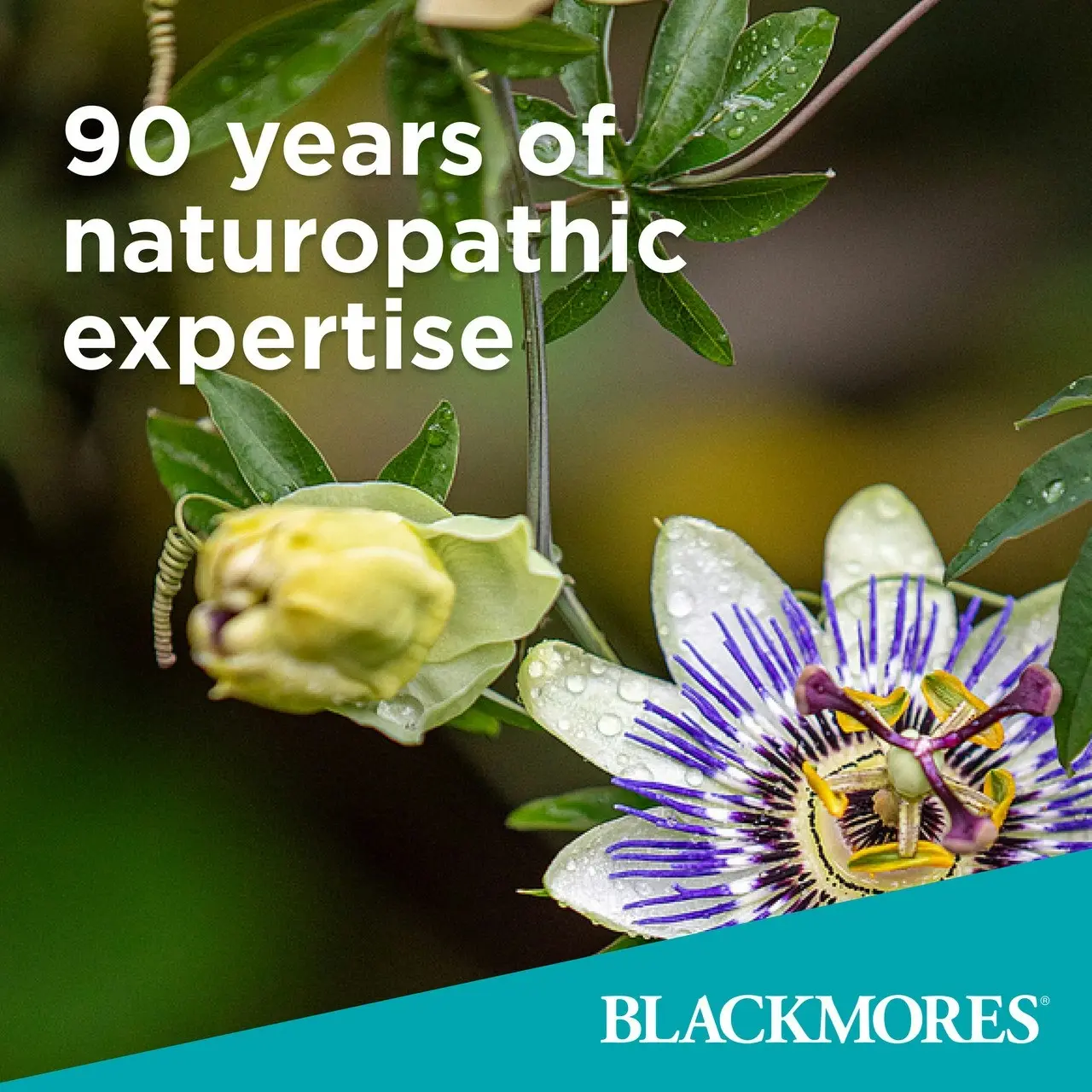 Blackmores Multivitamins for 50+ 90 Tablets